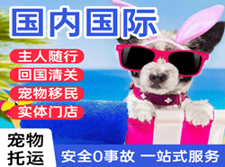 武宿机场快递国际宠物托运 【国
